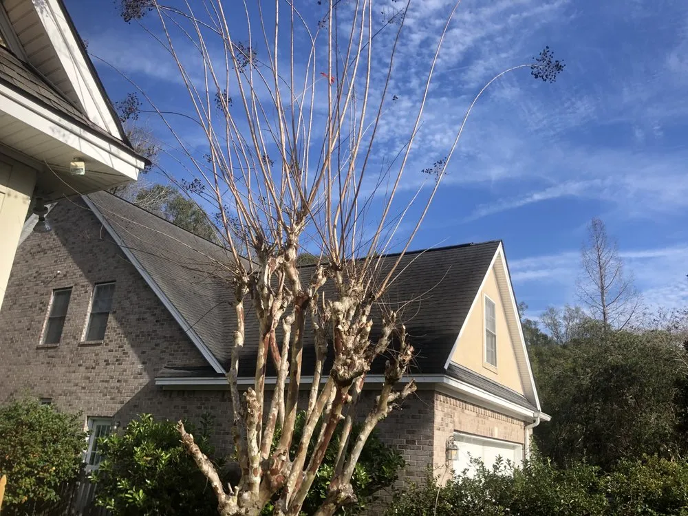 Local yard cleanup service in Glennville, GA by The Brothers Lawncare