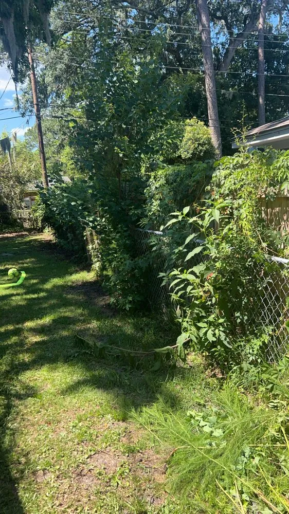 Top-rated lawn care service in Glennville, GA by The Brothers Lawncare