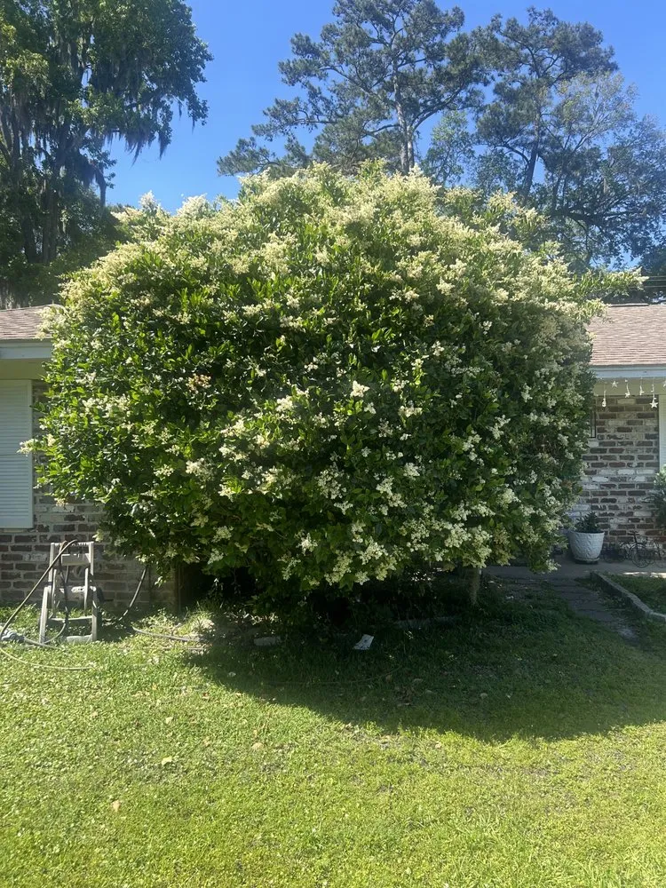 Custom landscaping services in Glennville, GA - The Brothers Lawncare