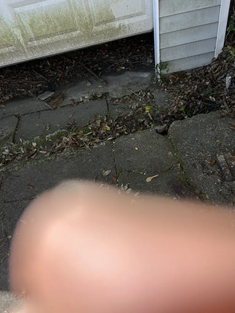 Affordable lawn mowing service in Glennville, GA by The Brothers Lawncare