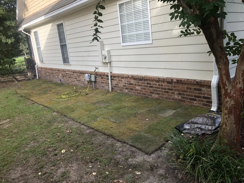 Expert yard cleanup service in Glennville, GA - The Brothers Lawncare