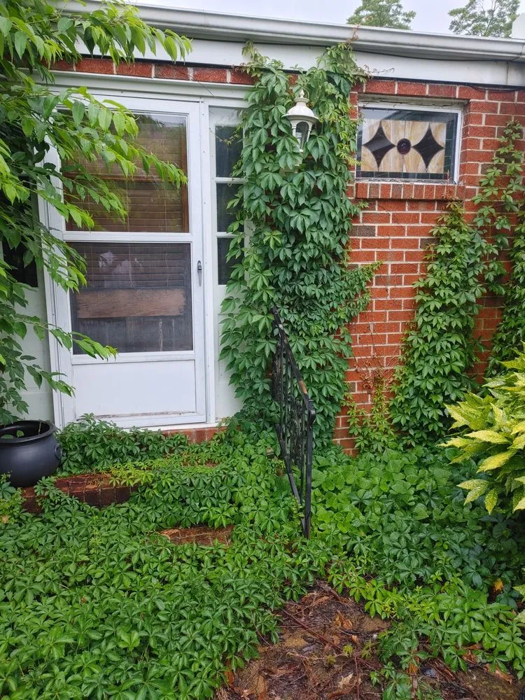 Reliable yard cleanup service in Huntsville, AL - The Brothers N Lawn Care