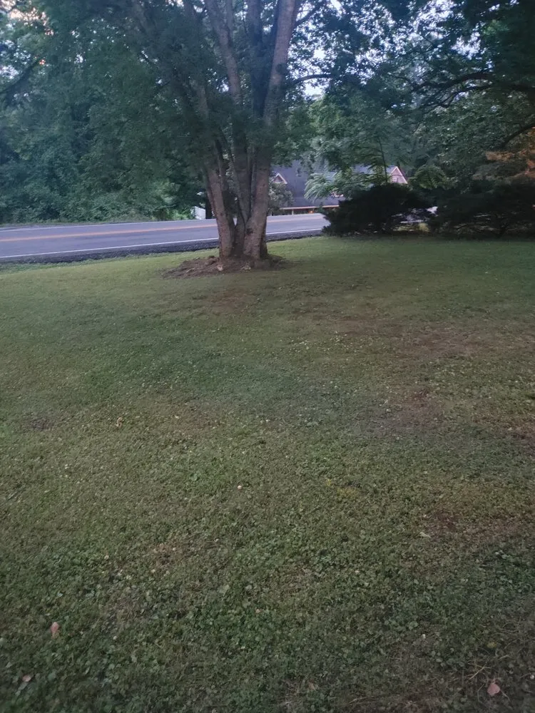 Custom yard maintenance in Huntsville, AL by The Brothers N Lawn Care