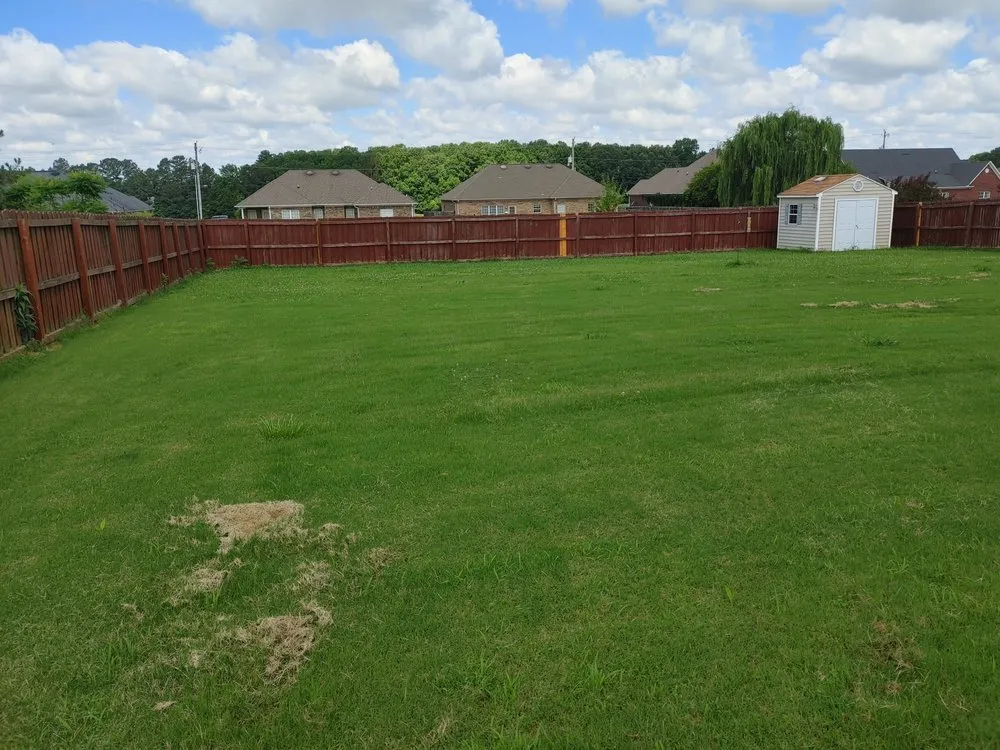 Local yard maintenance experts serving Huntsville, AL - The Brothers N Lawn Care