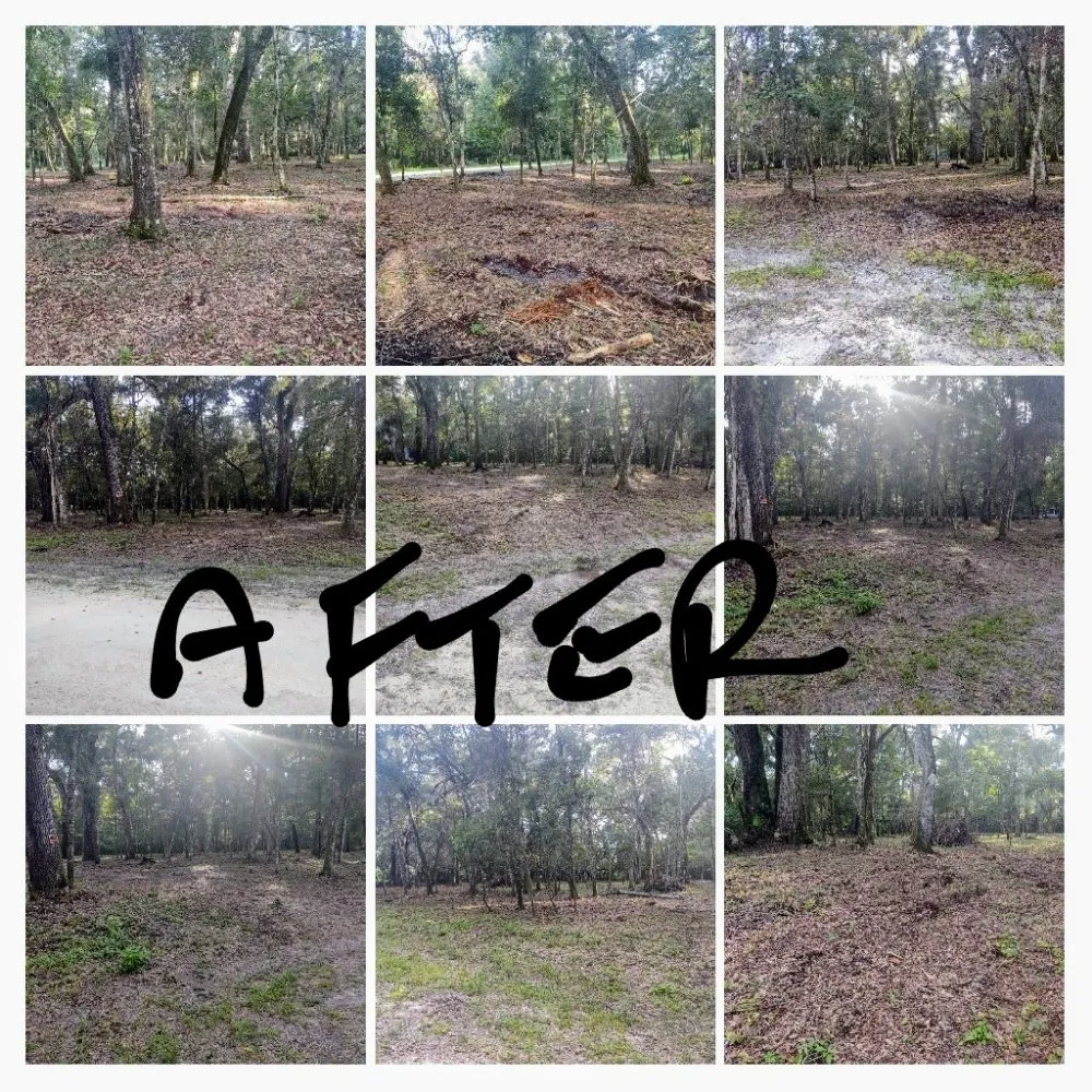 Local outdoor landscaping experts serving Cross City, FL - The Brothers Trim and More