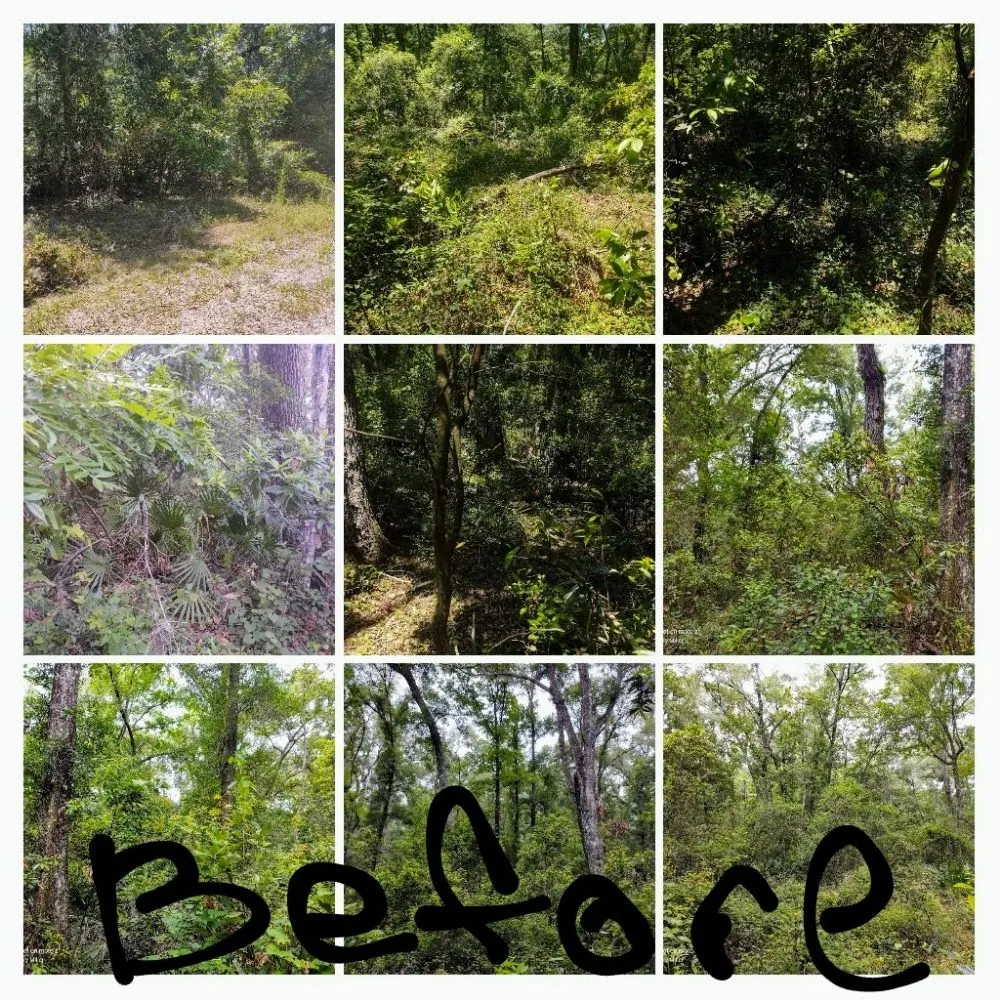 Top-rated garden landscaping in Cross City, FL - The Brothers Trim and More