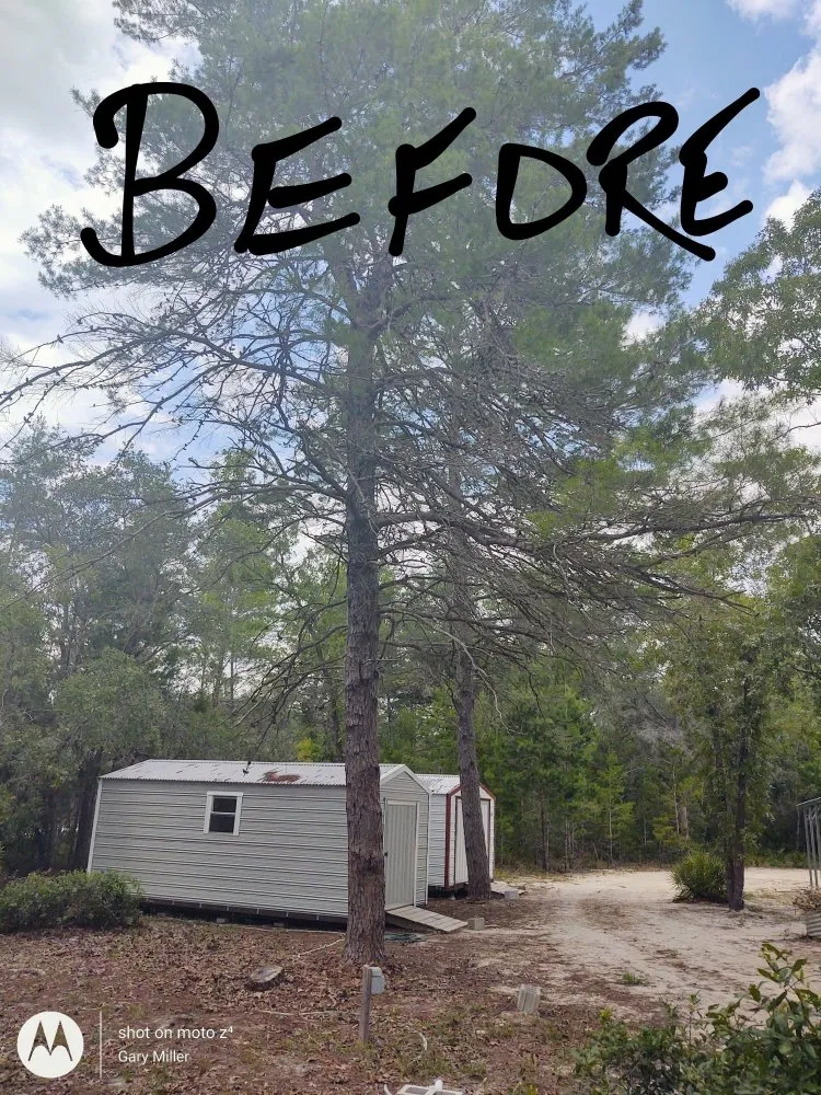 Reliable outdoor landscaping experts serving Cross City, FL - The Brothers Trim and More