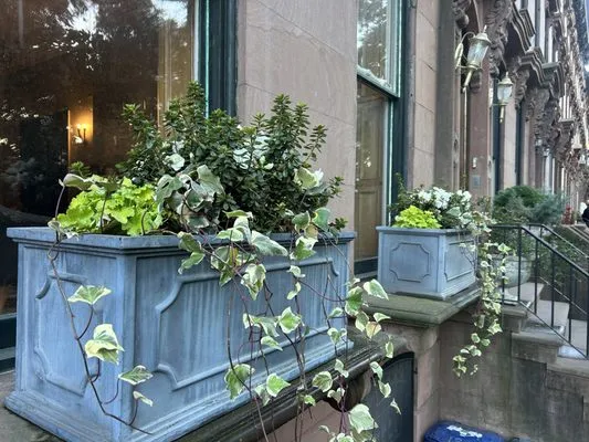 The Brownstone Gardener