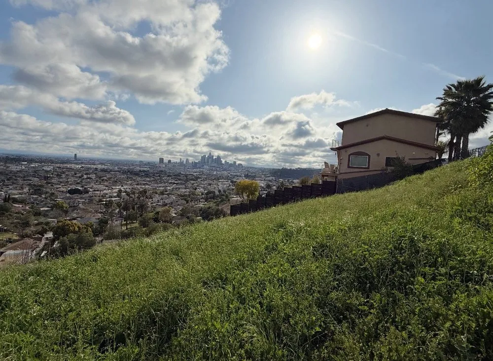 Local landscaping services in Los Angeles, CA - The Brush Clearance