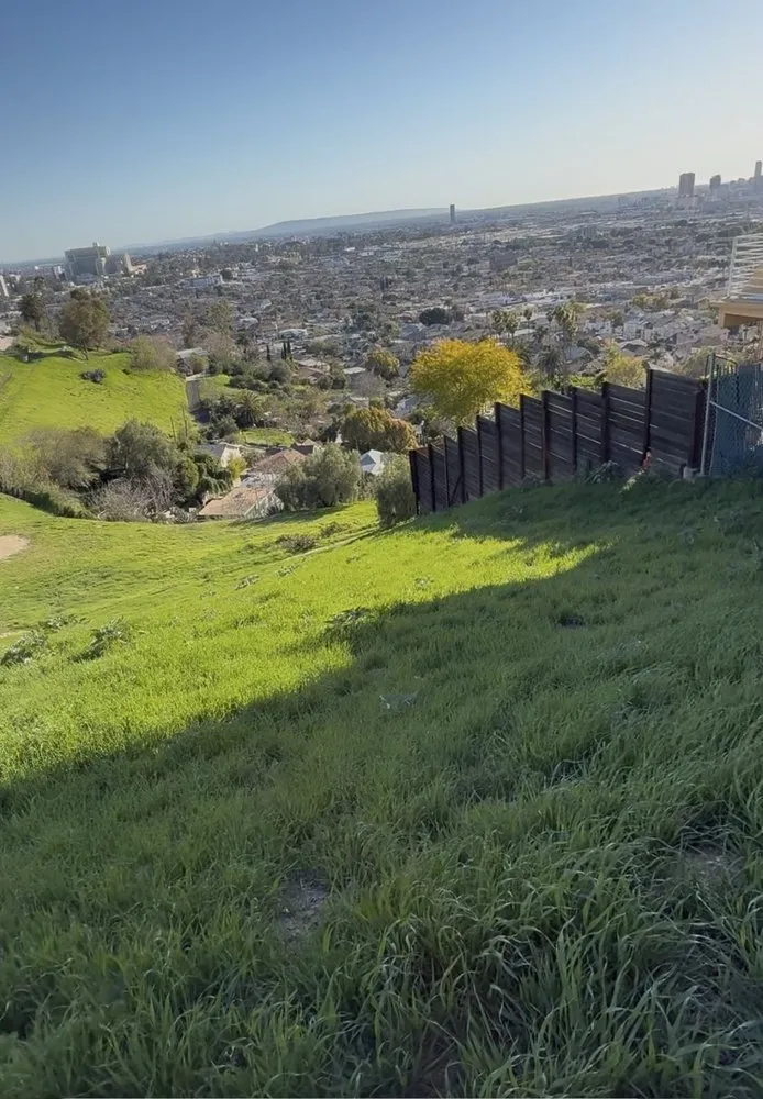 Expert outdoor landscaping in Los Angeles, CA - The Brush Clearance