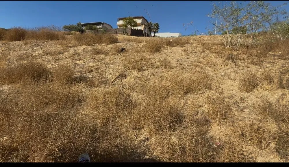 Top-rated yard maintenance in Los Angeles, CA by The Brush Clearance