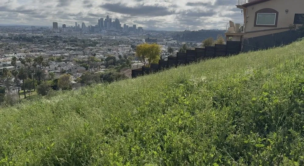 Professional landscape design experts serving Los Angeles, CA - The Brush Clearance