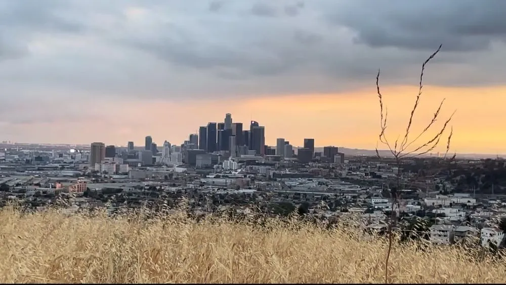 Expert lawn care service in Los Angeles, CA - The Brush Clearance