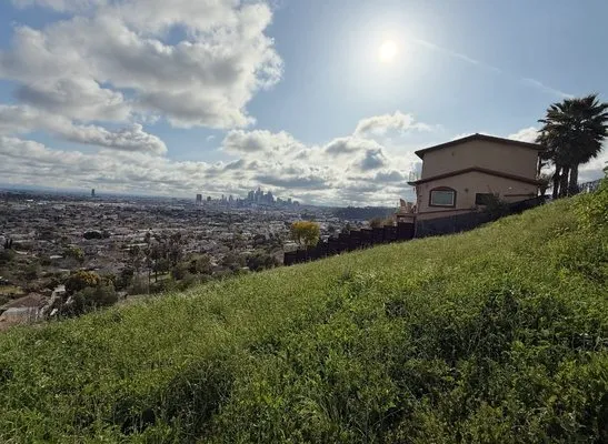 The Brush Clearance Logo