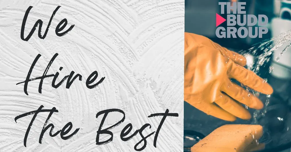 Professional lawn care service in Asheville, NC by The Budd Group