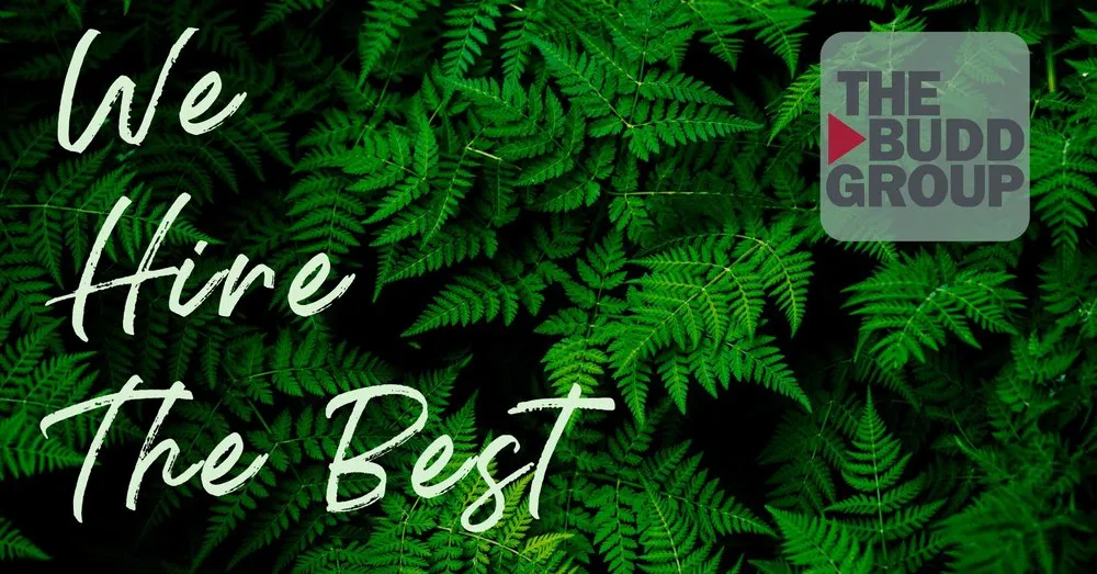 Custom residential landscaping with custom design across Asheville, NC - The Budd Group