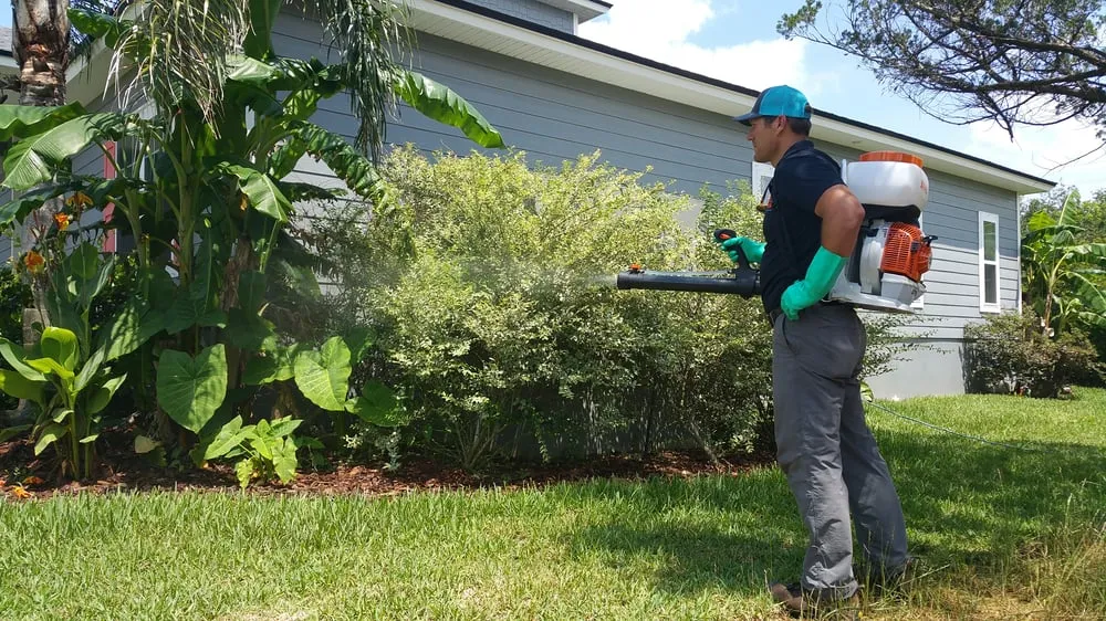 Top-rated outdoor landscaping in Saint Augustine, FL by The Bug Man Pest Services