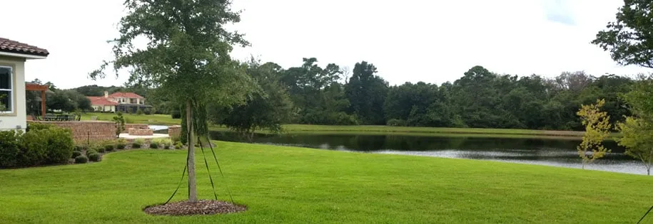 Custom yard maintenance for homes across Saint Augustine, FL - The Bug Man Pest Services