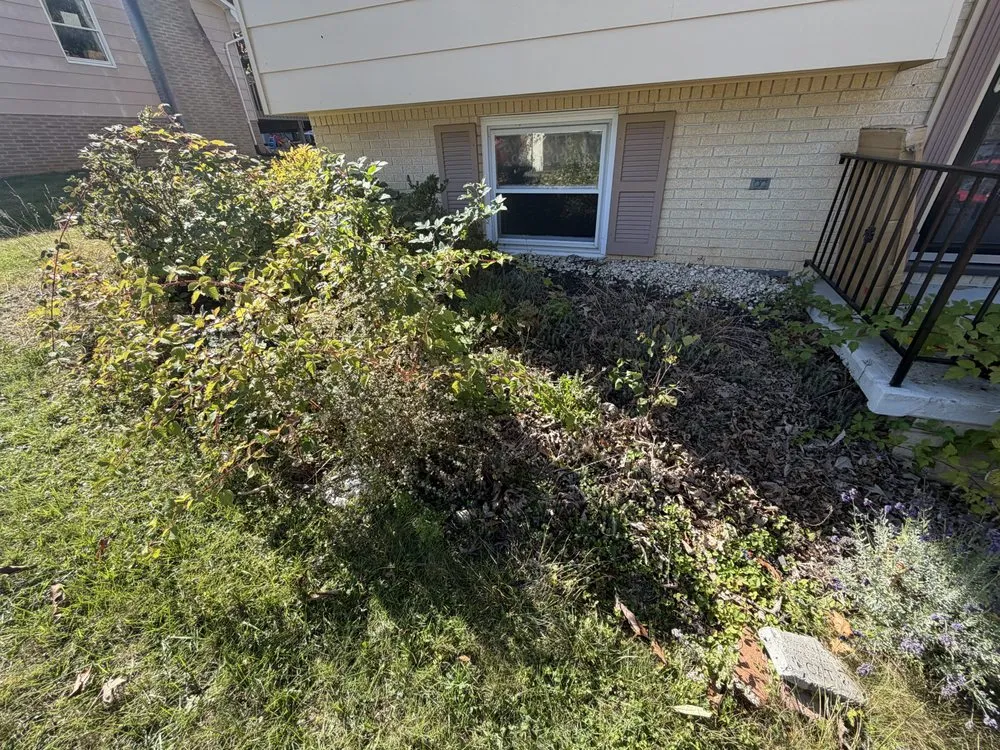 Custom landscaping services with custom design across Keyser, WV - The Building Company