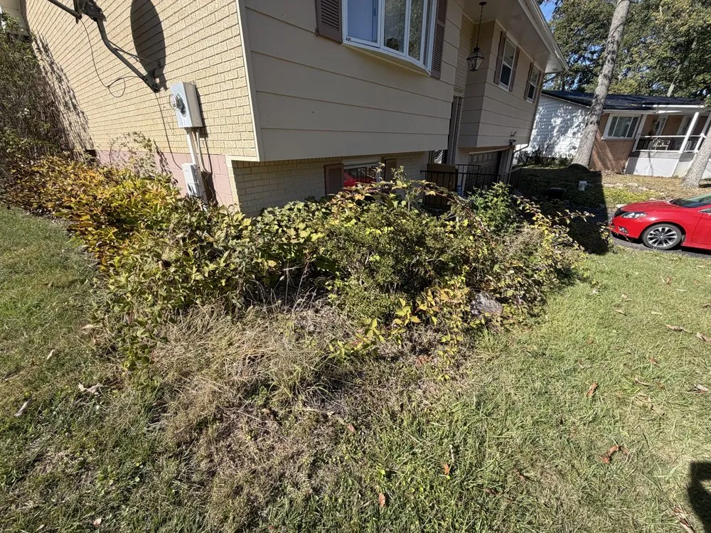 Expert residential landscaping experts serving Keyser, WV - The Building Company