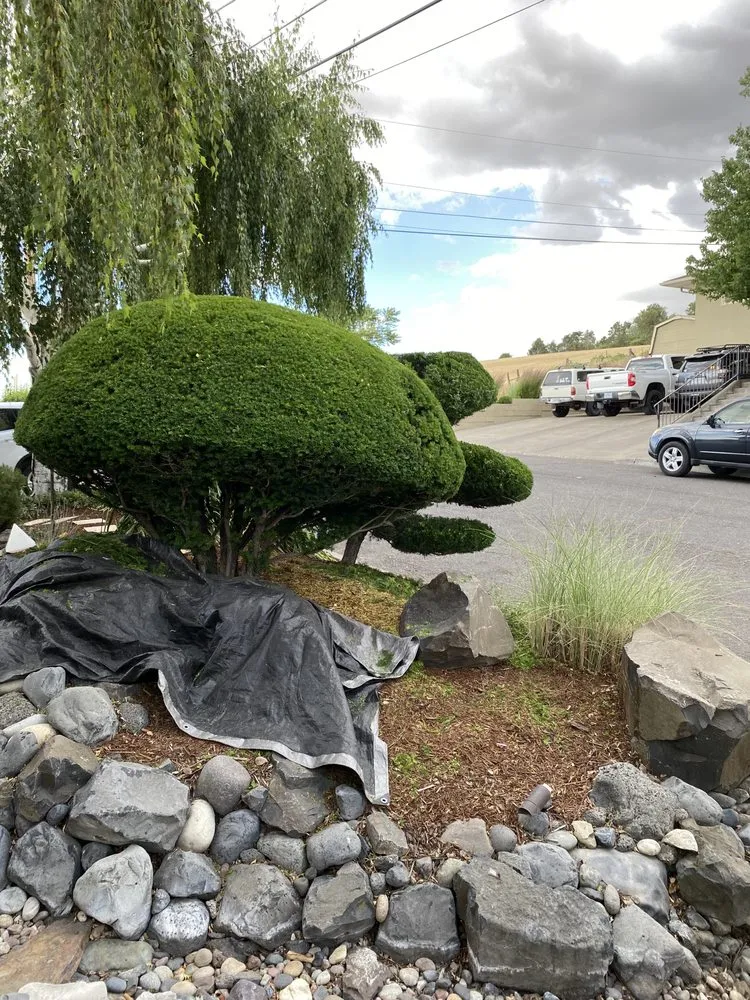 Trusted yard maintenance in Salem, OR - The Bush Doctor Burnz4Ever