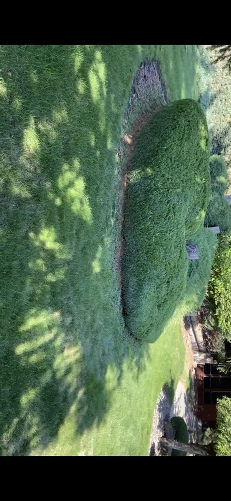 Affordable garden landscaping experts serving Salem, OR - The Bush Doctor Burnz4Ever