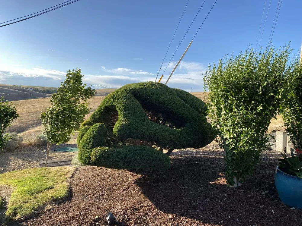 Trusted lawn care service for outdoor upgrades across Salem, OR - The Bush Doctor Burnz4Ever