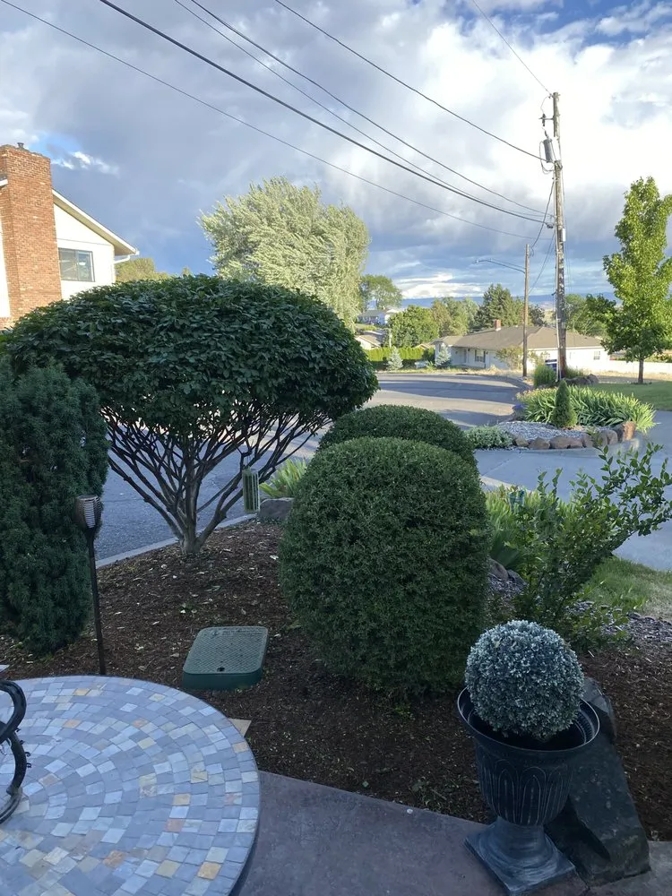 Professional landscape design in Salem, OR by The Bush Doctor Burnz4Ever