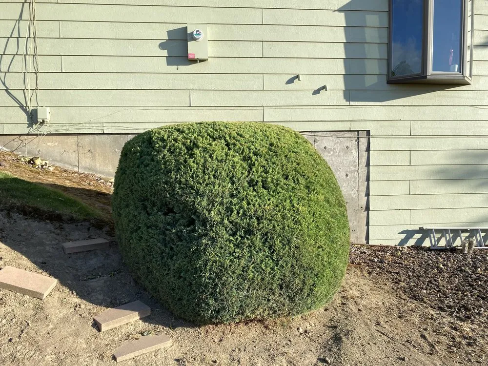 Local residential landscaping for outdoor upgrades across Salem, OR - The Bush Doctor Burnz4Ever