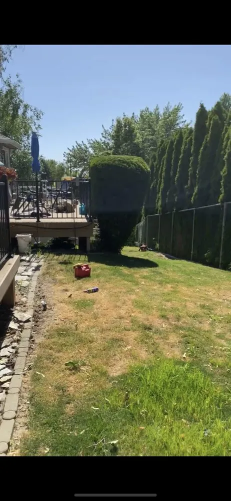 Trusted lawn care service in Salem, OR by The Bush Doctor Burnz4Ever