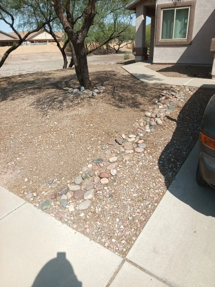 Affordable garden landscaping in Tucson, AZ - The Busy Beas