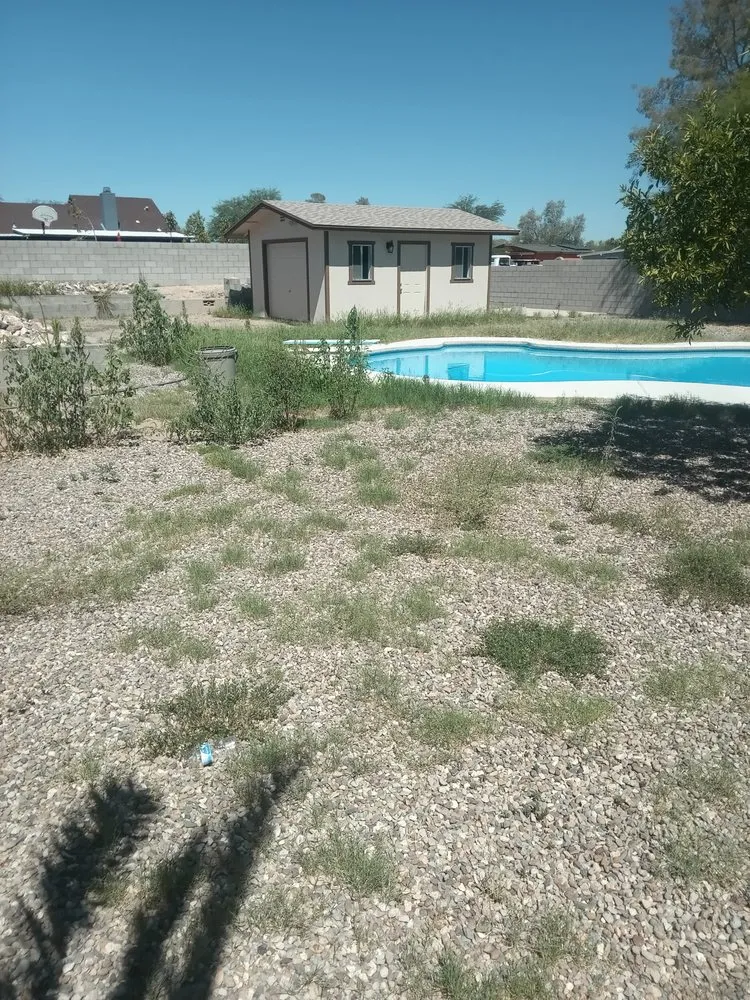 Local garden landscaping in Tucson, AZ - The Busy Beas