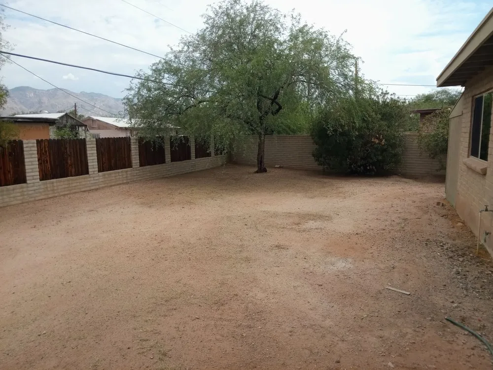 Professional yard maintenance for year-round maintenance in Tucson, AZ by The Busy Beas