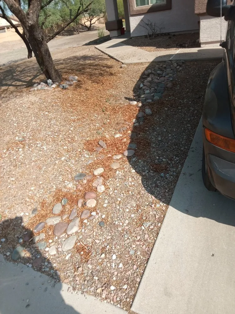 Top-rated outdoor landscaping in Tucson, AZ by The Busy Beas