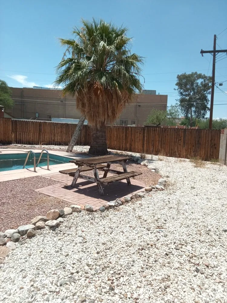 Professional lawn mowing service experts serving Tucson, AZ - The Busy Beas