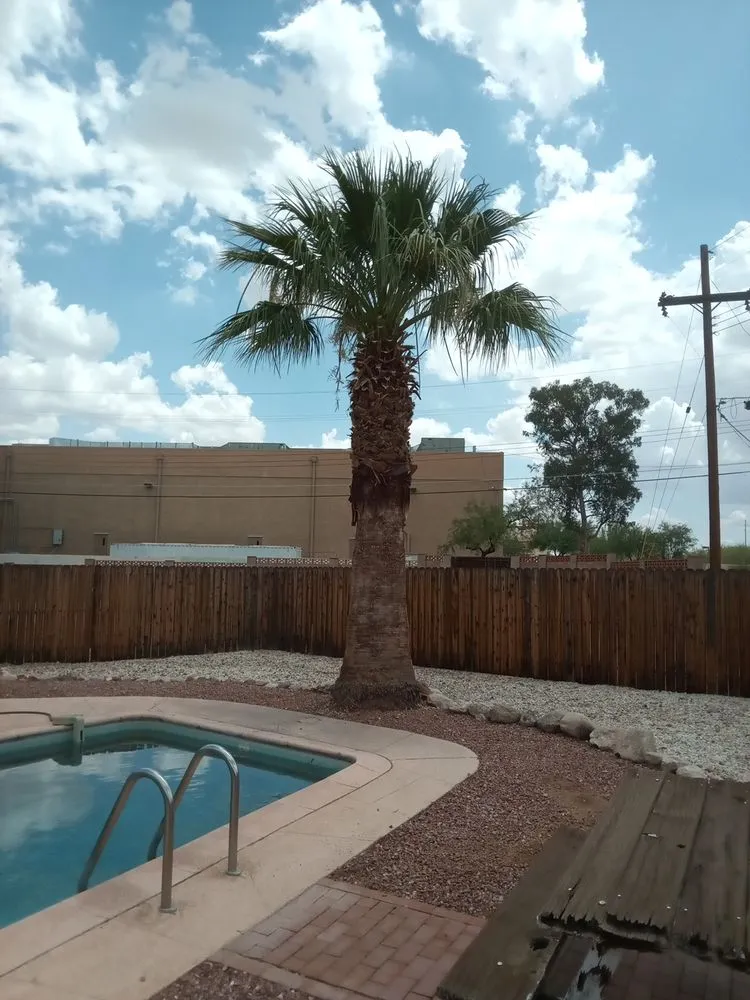 Custom lawn mowing service experts serving Tucson, AZ - The Busy Beas