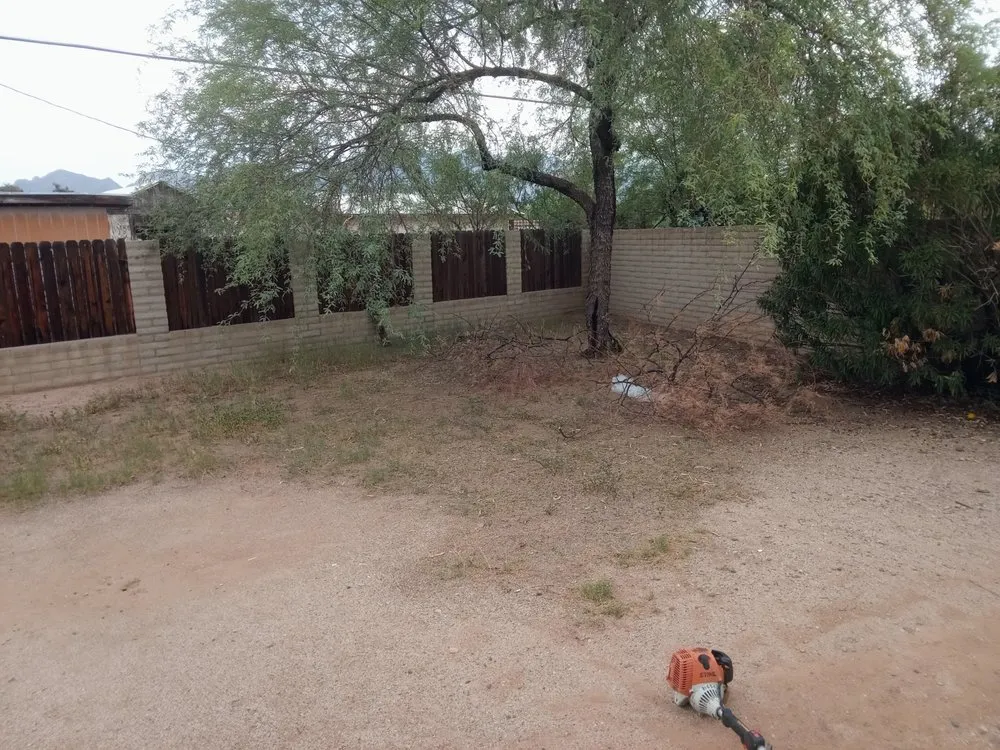 Expert yard maintenance in Tucson, AZ - The Busy Beas