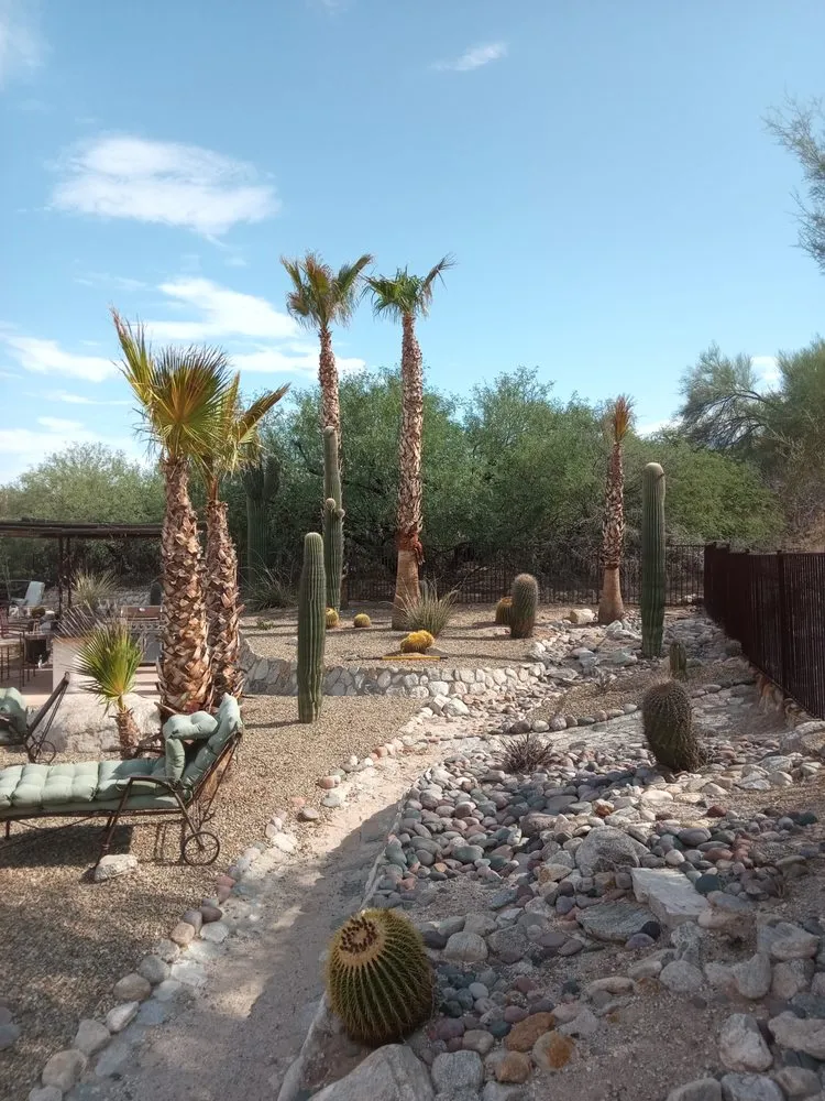 Custom landscaping services experts serving Tucson, AZ - The Busy Beas