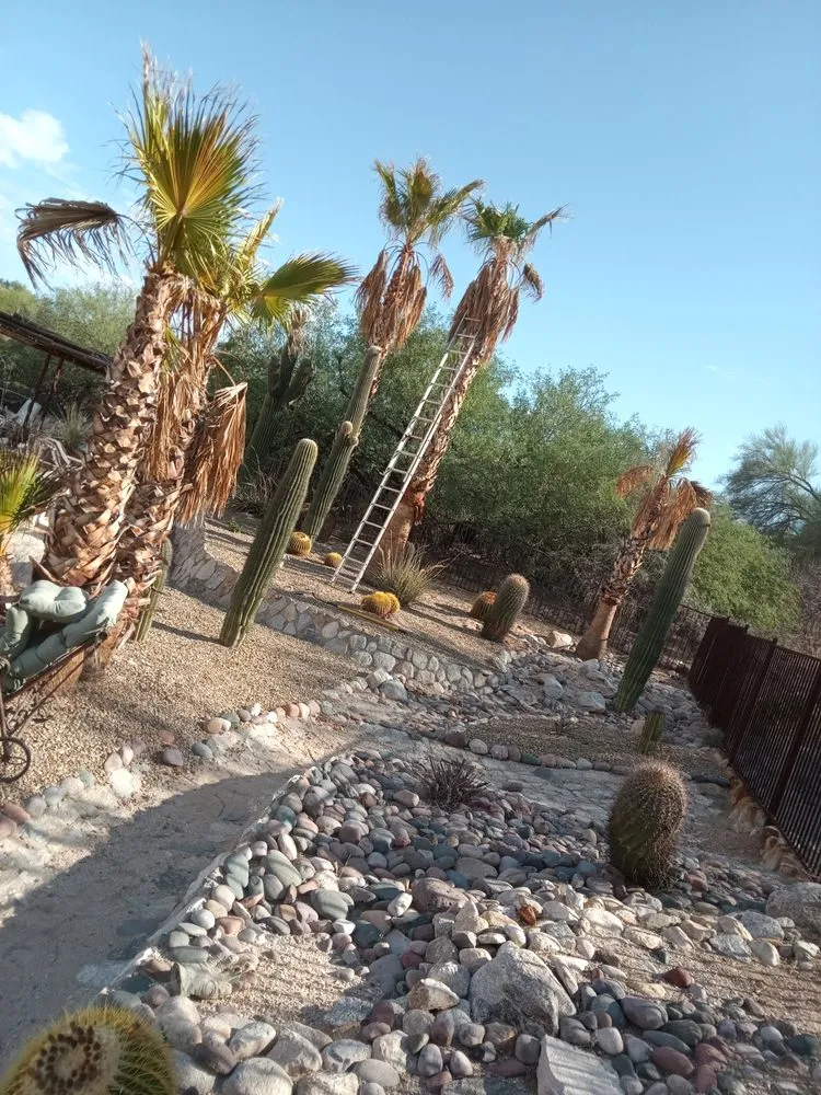 Local garden landscaping in Tucson, AZ - The Busy Beas
