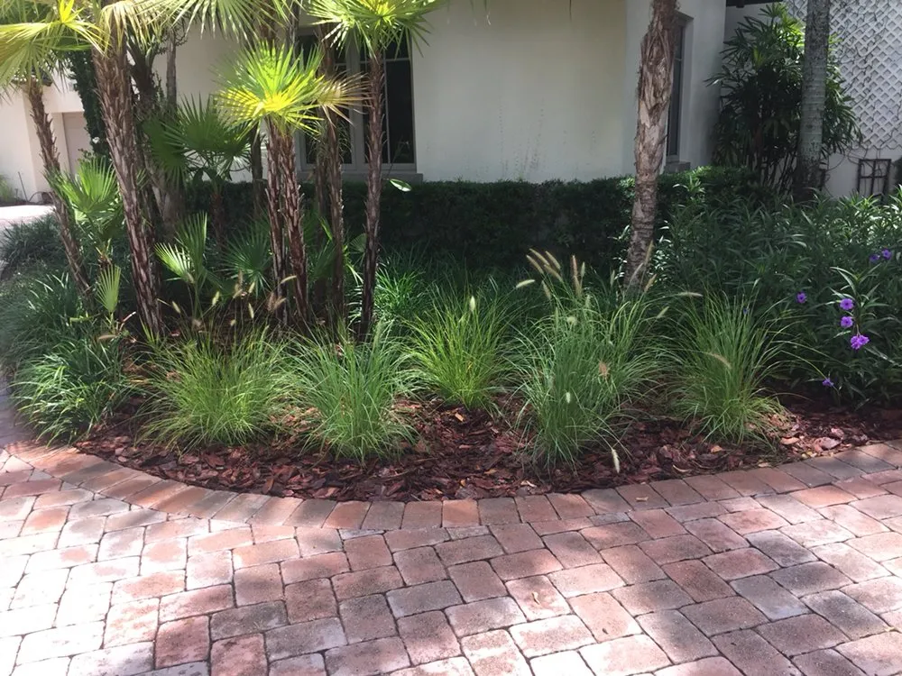 Expert garden landscaping in Homestead, FL by The Butterfly Gardeners