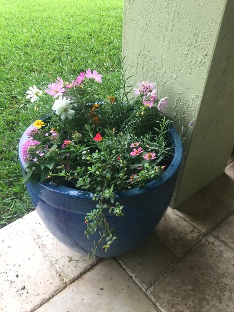 Trusted lawn care service for homes in Homestead, FL by The Butterfly Gardeners
