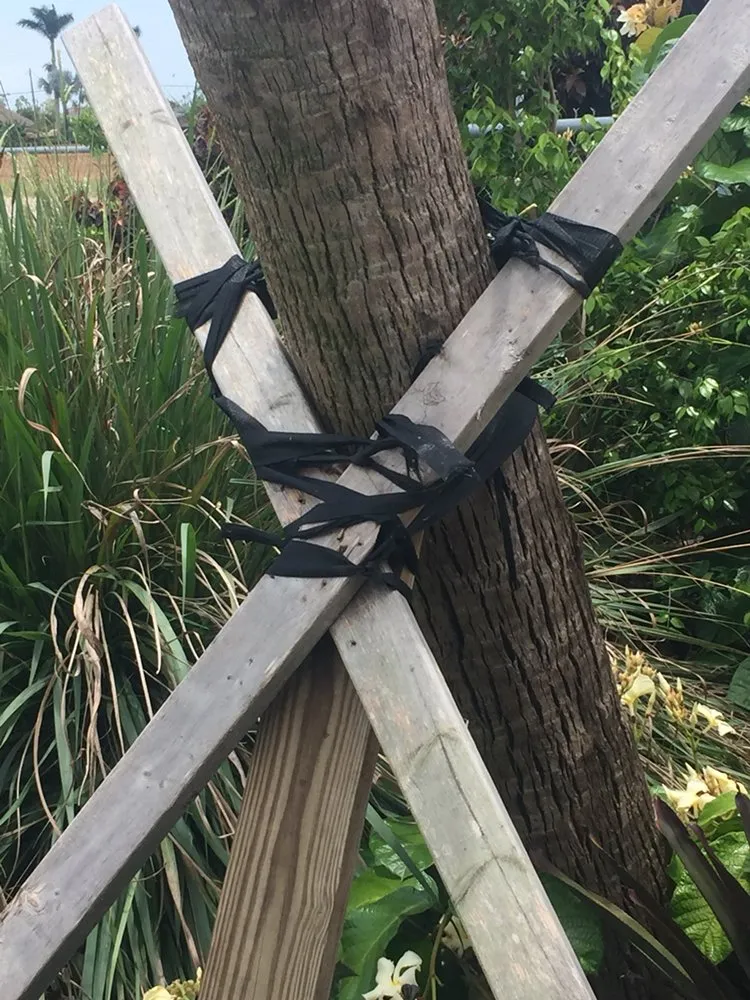 Professional yard maintenance in Homestead, FL - The Butterfly Gardeners