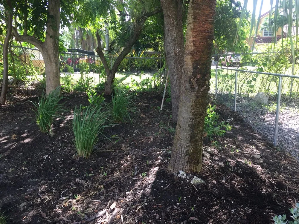 Local landscaping services in Homestead, FL by The Butterfly Gardeners