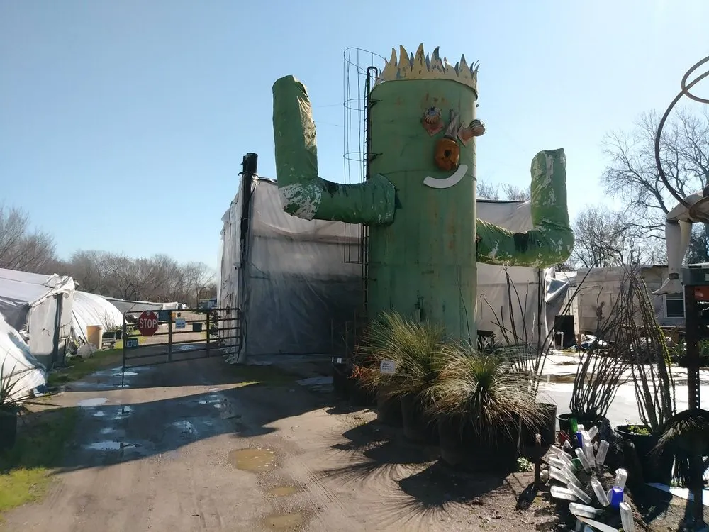 Reliable residential landscaping near you in Houston, TX by The Cactus King