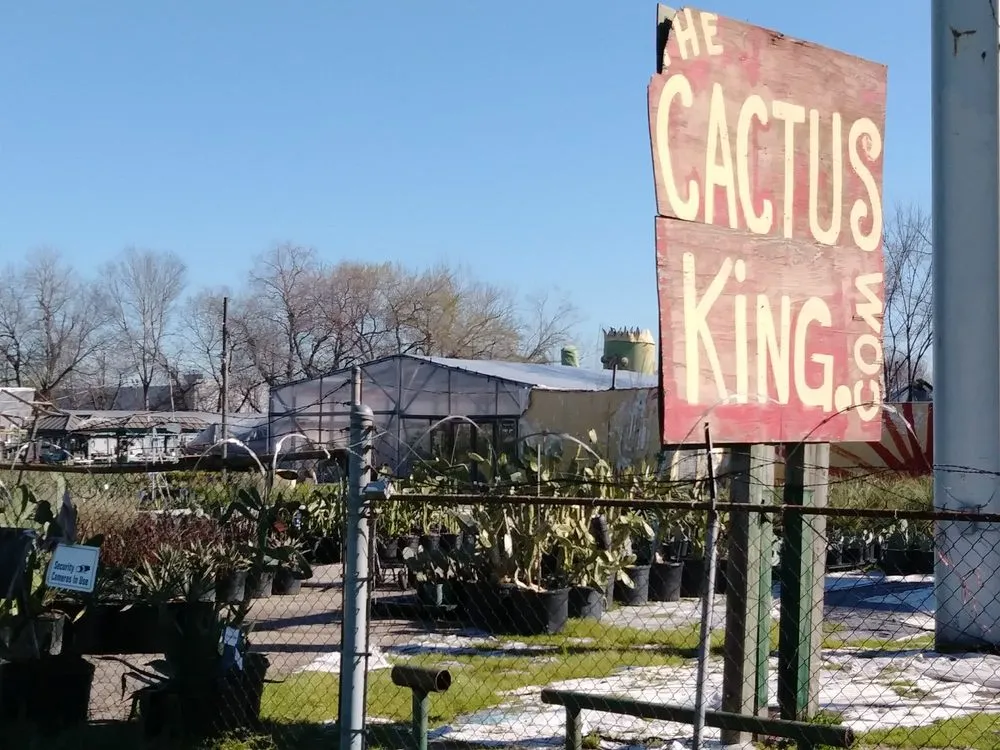 Top-rated outdoor landscaping in Houston, TX by The Cactus King
