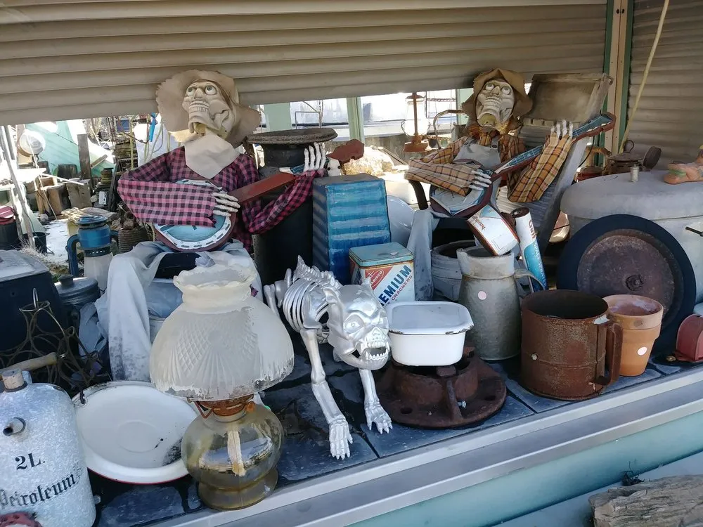 Local landscaping services for outdoor upgrades across Houston, TX - The Cactus King