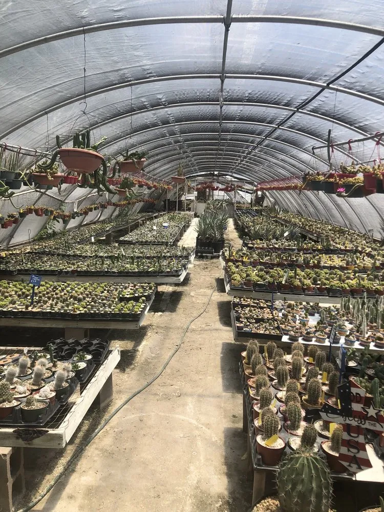 Local lawn care service experts serving Houston, TX - The Cactus King