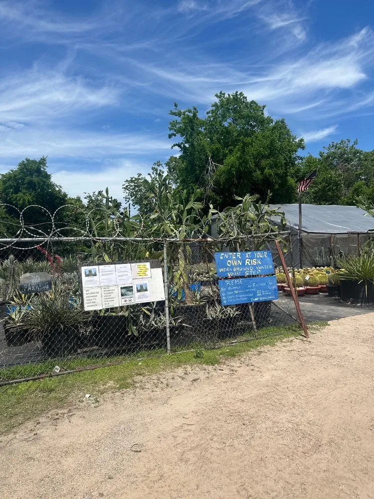 Trusted yard cleanup service in Houston, TX by The Cactus King