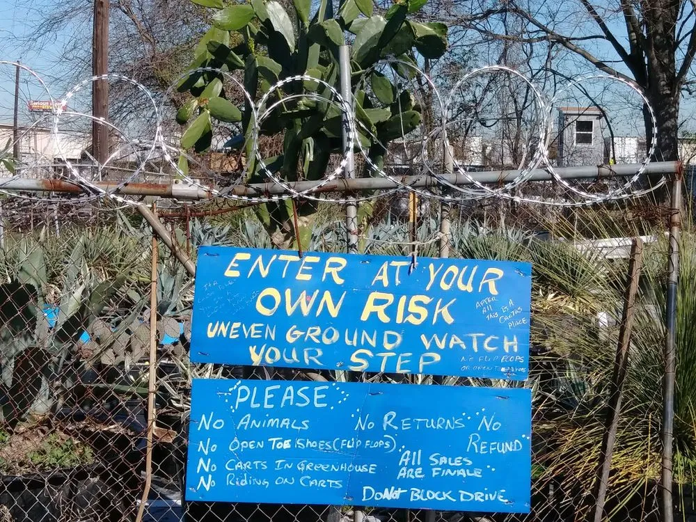 Custom landscape installation near you in Houston, TX by The Cactus King