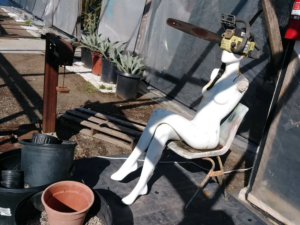 Local garden landscaping experts serving Houston, TX - The Cactus King